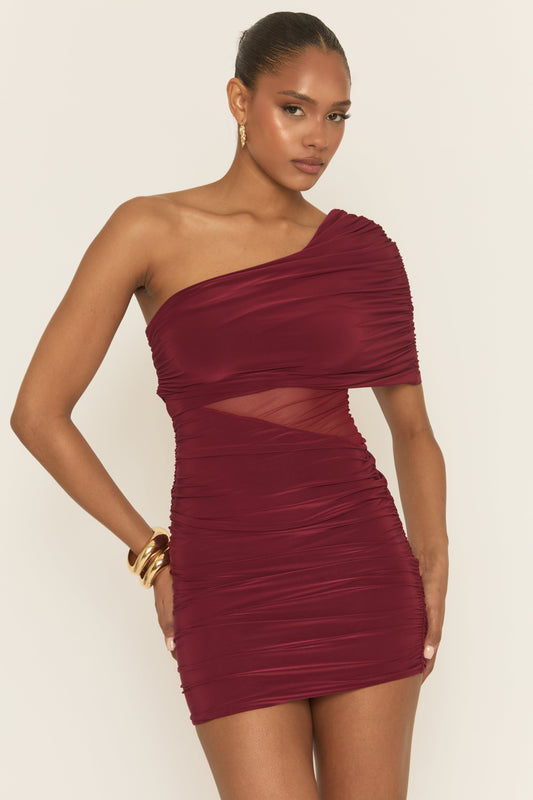 Wine Mesh Drape Front Mini Dress - Payne